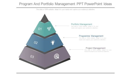 Program And Portfolio Management Ppt Powerpoint Ideas Program And Portfolio Management Ppt Powerpoint Ideas