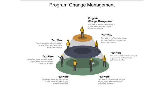 Program Change Management Ppt PowerPoint Presentation Icon Graphics Cpb