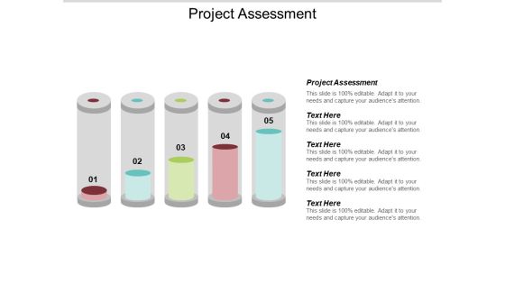 Project Assessment Ppt PowerPoint Presentation Summary Microsoft Cpb