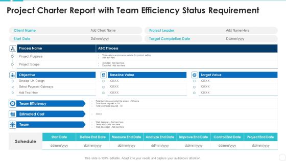Project Charter Report With Team Efficiency Status Requirement Themes PDF