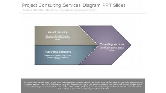 Project Consulting Services Diagram Ppt Slides Project Consulting Services Diagram Ppt Slides