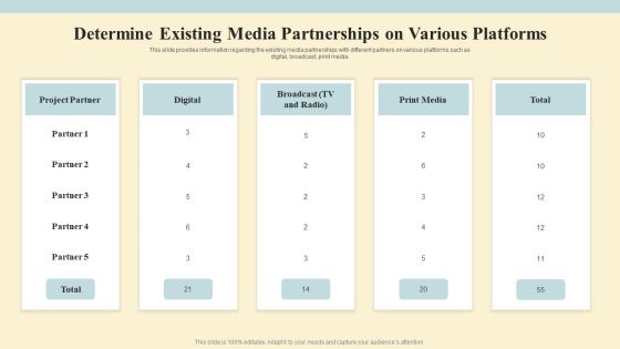 Project Coordination Plan Determine Existing Media Partnerships On Various Platforms Summary PDF