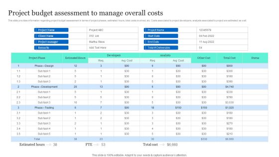 Project Excellence Playbook For Executives Project Budget Assessment To Manage Overall Costs Background PDF