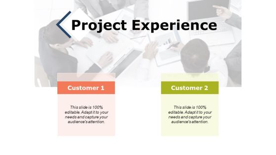 Project Experience Ppt PowerPoint Presentation Ideas Clipart