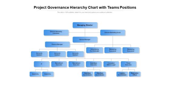 Project Governance Hierarchy Chart With Teams Positions Ppt PowerPoint Presentation File Background Project Governance Hierarchy Chart With Teams Positions Ppt PowerPoint Presentation File Background