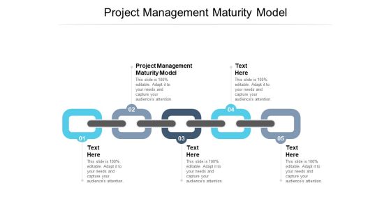 Project Management Maturity Model Ppt PowerPoint Presentation File Graphic Images Cpb Pdf