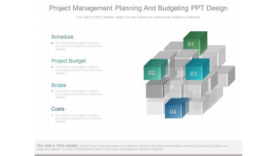 Project Management Planning And Budgeting Ppt Design