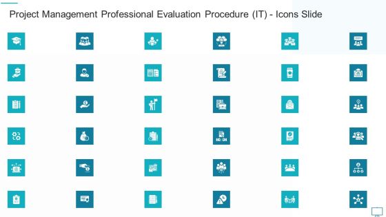 Project Management Professional Evaluation Procedure IT Icons Slide Infographics PDF