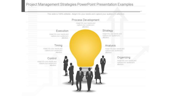 Project Management Strategies Powerpoint Presentation Examples