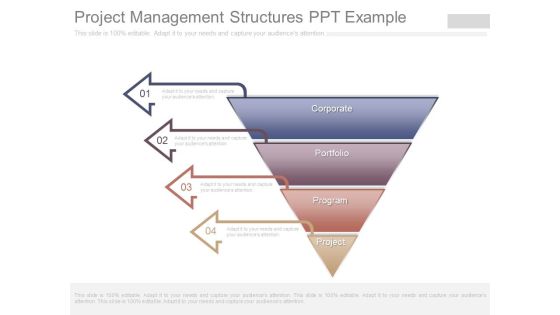 Project Management Structures Ppt Example Project Management Structures Ppt Example