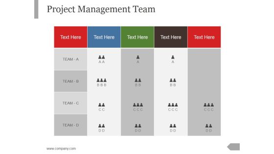 Project Management Team Ppt PowerPoint Presentation Background Designs Project Management Team Ppt PowerPoint Presentation Background Designs