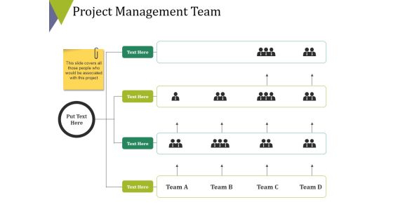 Project Management Team Ppt PowerPoint Presentation Gallery Background