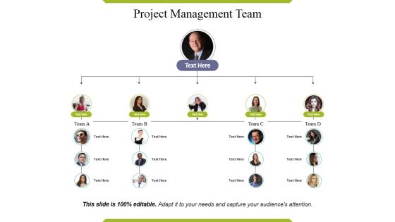 Project Management Team Ppt PowerPoint Presentation Layouts Layout Ideas Project Management Team Ppt PowerPoint Presentation Layouts Layout Ideas