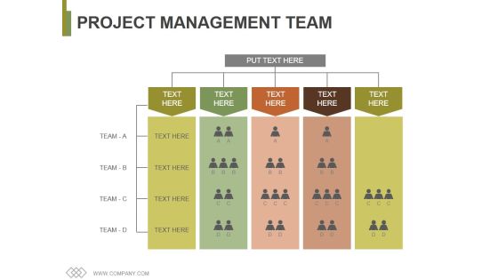 Project Management Team Template 2 Ppt PowerPoint Presentation File Graphics Project Management Team Template 2 Ppt PowerPoint Presentation File Graphics