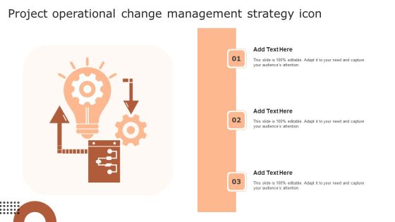 Project Operational Change Management Strategy Icon Icons PDF
