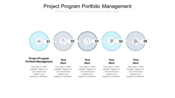 Project Program Portfolio Management Ppt PowerPoint Presentation Summary Background Cpb Pdf
