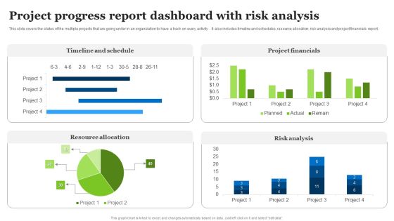 Project Progress Report Dashboard With Risk Analysis Ppt Examples PDF