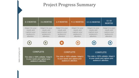 Project Progress Summary Ppt PowerPoint Presentation Infographic Template