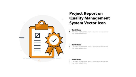 Project Report On Quality Management System Vector Icon Ppt PowerPoint Presentation File Ideas PDF