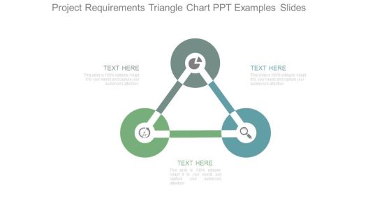 Project Requirements Triangle Chart Ppt Examples Slides