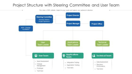 Project Structure With Steering Committee And User Team Ppt PowerPoint Presentation File Templates PDF Project Structure With Steering Committee And User Team Ppt PowerPoint Presentation File Templates PDF