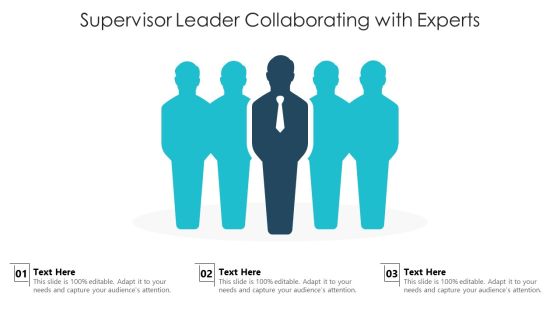 Project Supervisor Collaborating With Experts Ppt PowerPoint Presentation Clipart PDF