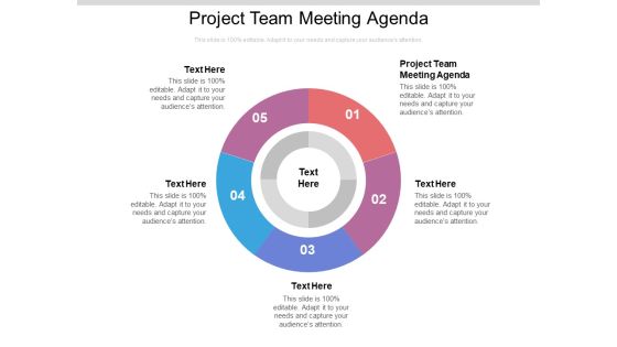 Project Team Meeting Agenda Ppt PowerPoint Presentation Portfolio Sample Cpb Pdf