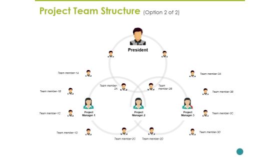 Project Team Structure Ppt PowerPoint Presentation Layouts Background Project Team Structure Ppt PowerPoint Presentation Layouts Background