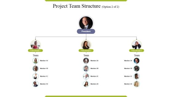 Project Team Structure Template Ppt PowerPoint Presentation Pictures Elements Project Team Structure Template Ppt PowerPoint Presentation Pictures Elements