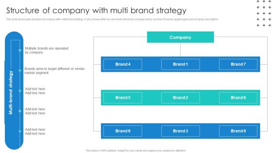 Promotional Techniques To Market Several Brands Among Target Groups Structure Of Company Rules PDF Promotional Techniques To Market Several Brands Among Target Groups Structure Of Company Rules PDF