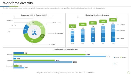 Property And Casualties Insurance Business Profile Workforce Diversity Elements PDF