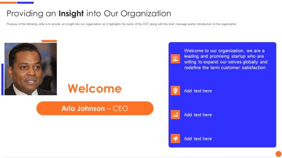 Providing An Insight Into Our Organization Pictures PDF