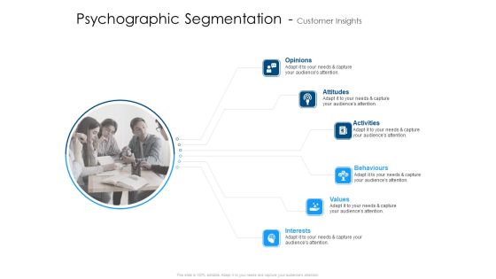 Psychographic Segmentation Customer Insights Icons PDF