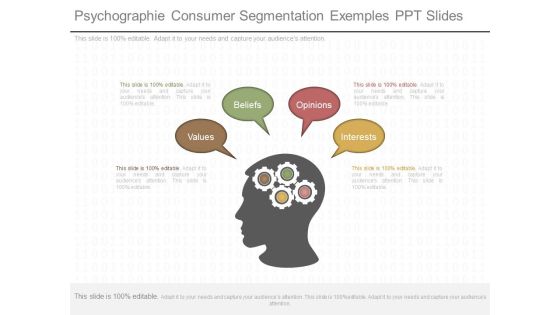 Psychographie Consumer Segmentation Exemples Ppt Slides Psychographie Consumer Segmentation Exemples Ppt Slides