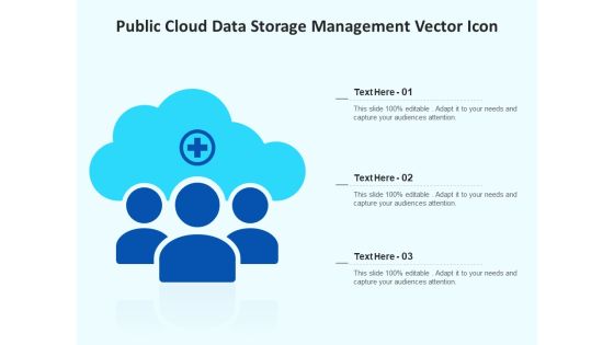 Public Cloud Data Storage Management Vector Icon Ppt PowerPoint Presentation Gallery Clipart Images PDF Public Cloud Data Storage Management Vector Icon Ppt PowerPoint Presentation Gallery Clipart Images PDF