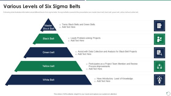 Quality Assurance Templates Set 3 Various Levels Of Six Sigma Belts Microsoft PDF