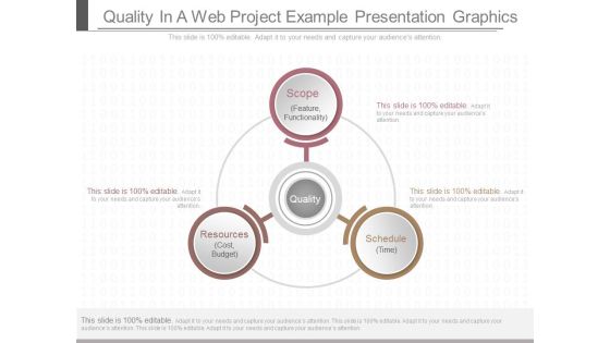 Quality In A Web Project Example Presentation Graphics