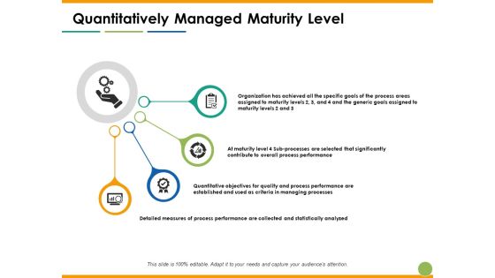 Quantitatively Managed Maturity Level Ppt PowerPoint Presentation Professional Topics Quantitatively Managed Maturity Level Ppt PowerPoint Presentation Professional Topics