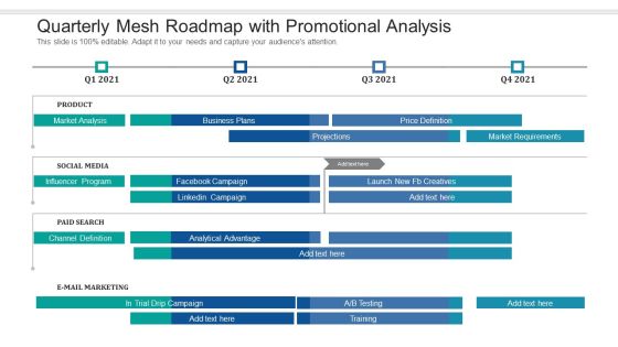 Quarterly Mesh Roadmap With Promotional Analysis Professional