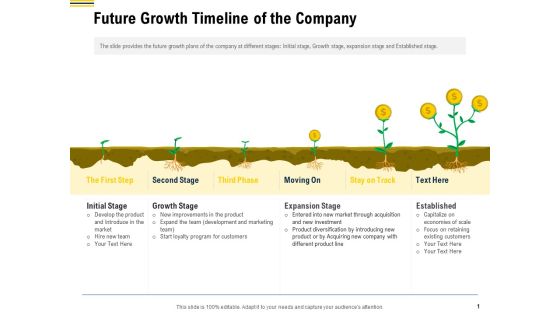 Raise Funding From Pre Seed Money Future Growth Timeline Of The Company Designs PDF