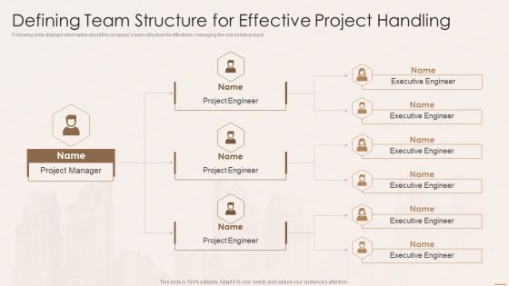 Real Estate Developers Funding Alternatives Defining Team Structure For Effective Project Handling Guidelines PDF