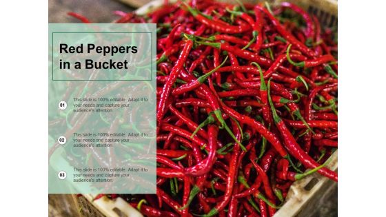 Red Peppers In A Bucket Ppt PowerPoint Presentation Gallery Maker Red Peppers In A Bucket Ppt PowerPoint Presentation Gallery Maker