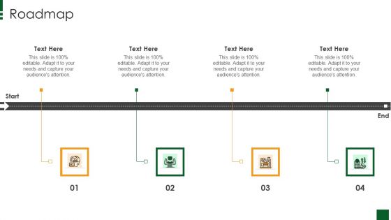 Refreshments Company Investor Introduction Roadmap Themes PDF