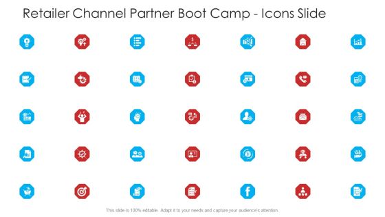 Retailer Channel Partner Boot Camp Icons Slide Ppt Professional Slides PDF