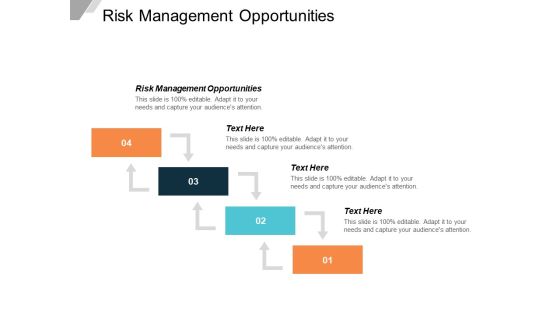 Risk Management Opportunities Ppt PowerPoint Presentation Outline Example File Cpb