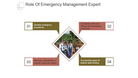 Role Of Emergency Management Expert Ppt PowerPoint Presentation Picture