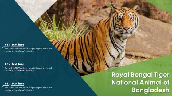 Royal Bengal Tiger National Animal Of Bangladesh Ppt PowerPoint Presentation Gallery Graphics Download PDF