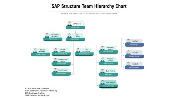 SAP Structure Team Hierarchy Chart Ppt PowerPoint Presentation File Examples PDF