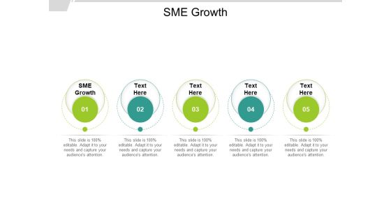SME Growth Ppt PowerPoint Presentation Slides Elements Cpb