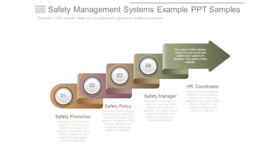 Safety Management Systems Example Ppt Samples
